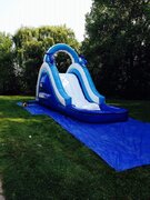 16 ft dolphin water slide