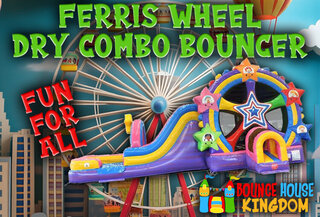 FERRIS WHEEL COMBO - DRY 