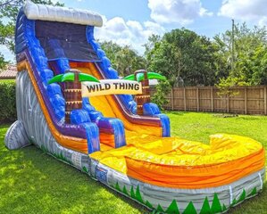 WILD THING 20FT