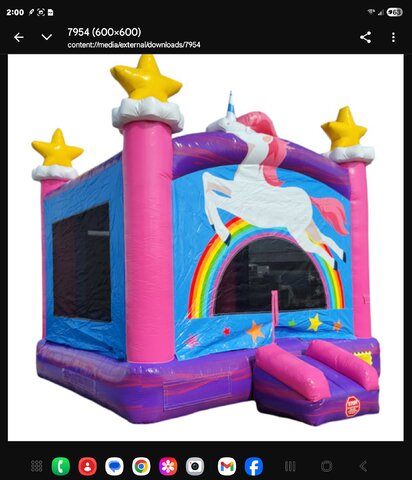 Unicorn bouncer