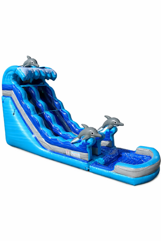 Dolphin express