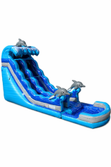 Dolphin Express