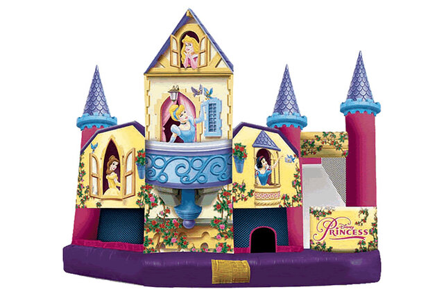 Disney Princess Combo