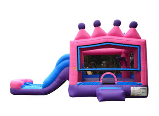 Pink 5 in 1 Waterslide