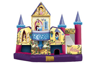 Disney Princess Combo