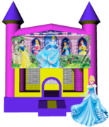  Disney Princess Castle 13x13 Fun House