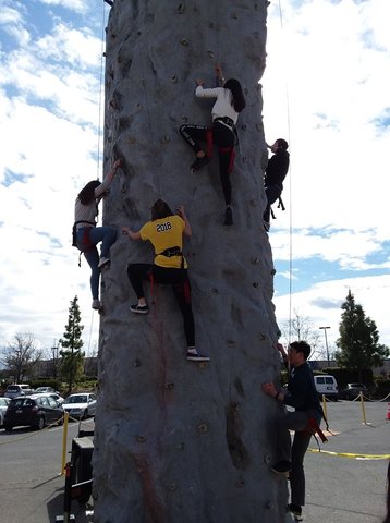 Mobile Rock Wall Rental