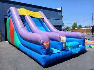 Wacky 16 ft  Slide