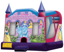 Disney Princess Inside Slide #1