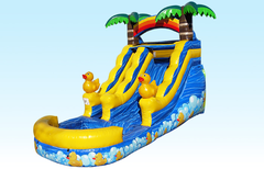 Small Rubber Ducky Water Slide