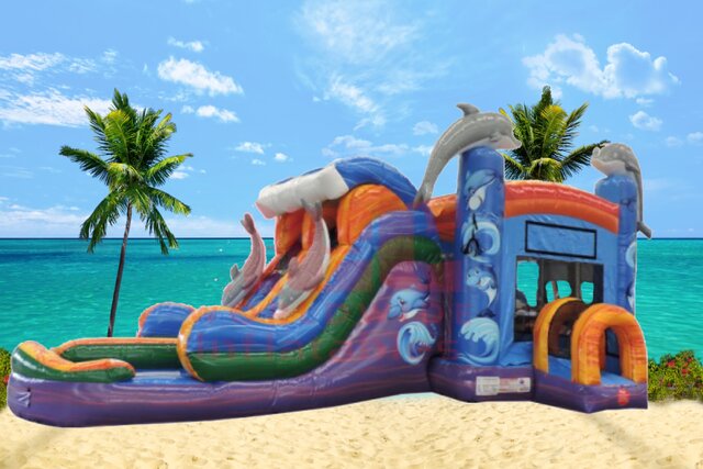 Dolphin Bounce House Rental In Winter Haven