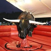 Mechanical Bull