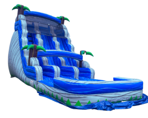 Blue Tiki Double Lane Water Slide