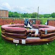 Mechanical Bull