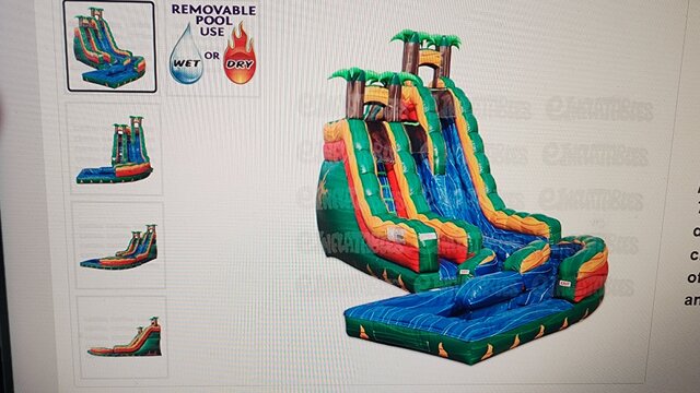20 ft Hybrid Green Tropics Curve Dual lane Slide
