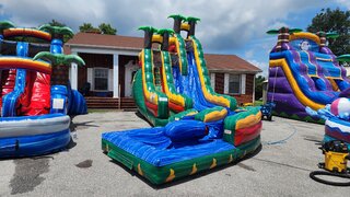 20 ft Hybrid Green Tropics Curve Dual lane Slide