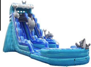 20FT DOLPHIN DRY SLIDE