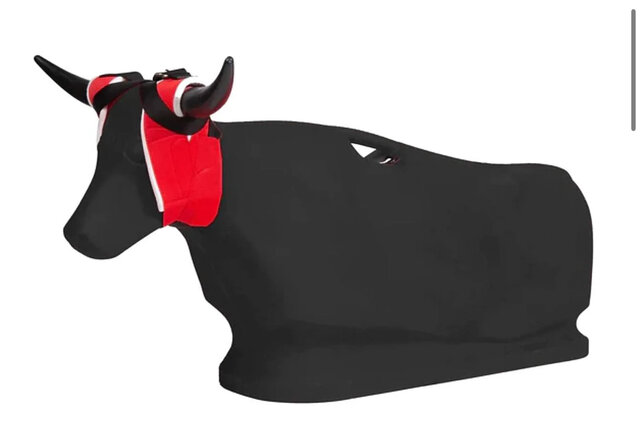 Rodeo Roping Event Station