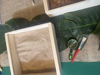 Dinosaur Fossil Sensory Station