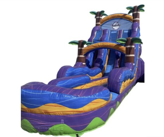 22ft Purple Plunge Daul Lane Waterside