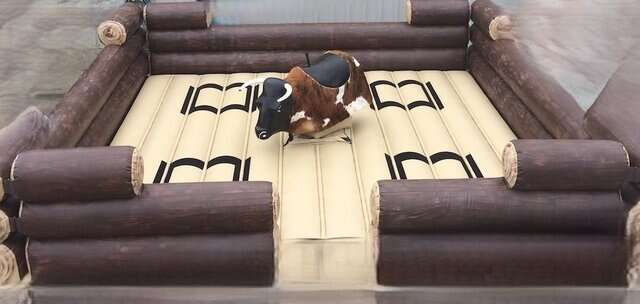 mechanical bull rental