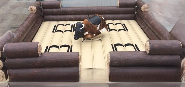 Mechanical Bull