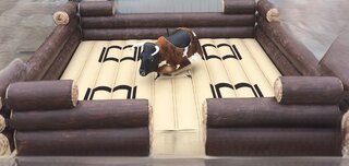 Mechanical Bull - DE		