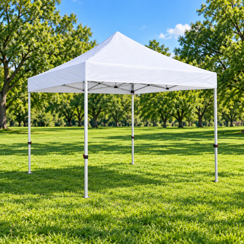 10x10 Canopy 