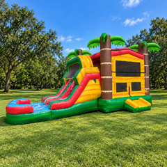 Paradise 2 Lane Combo Waterslide 