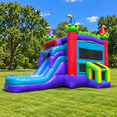 King Combo Waterslide 