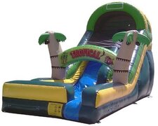 16 Foot Tropical Water Slide 
