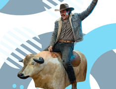 Mechanical Bulls