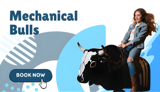 Mechanical Bulls