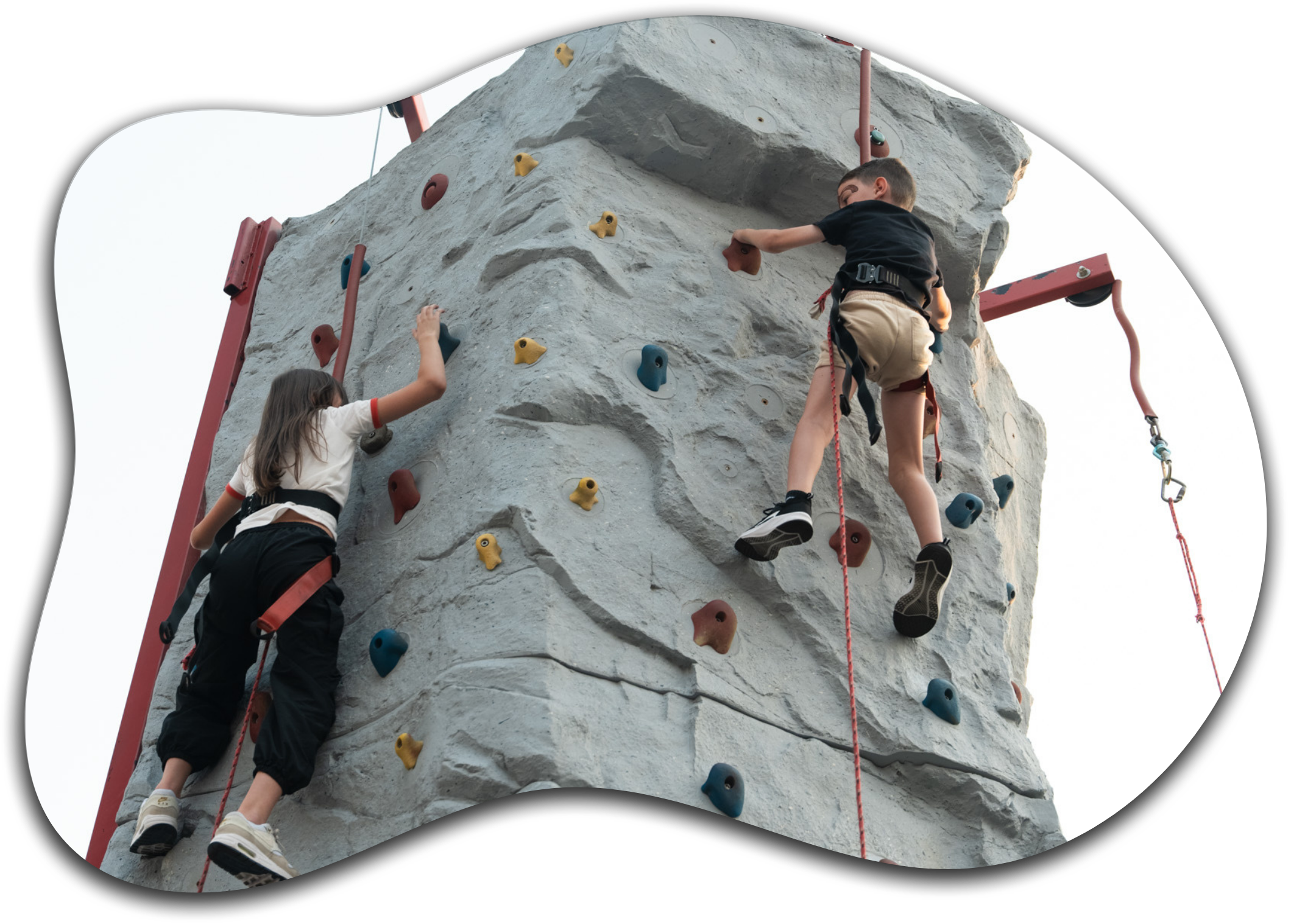 Bingham Party Rentals LLC - bounce house rentals and slides for parties ...