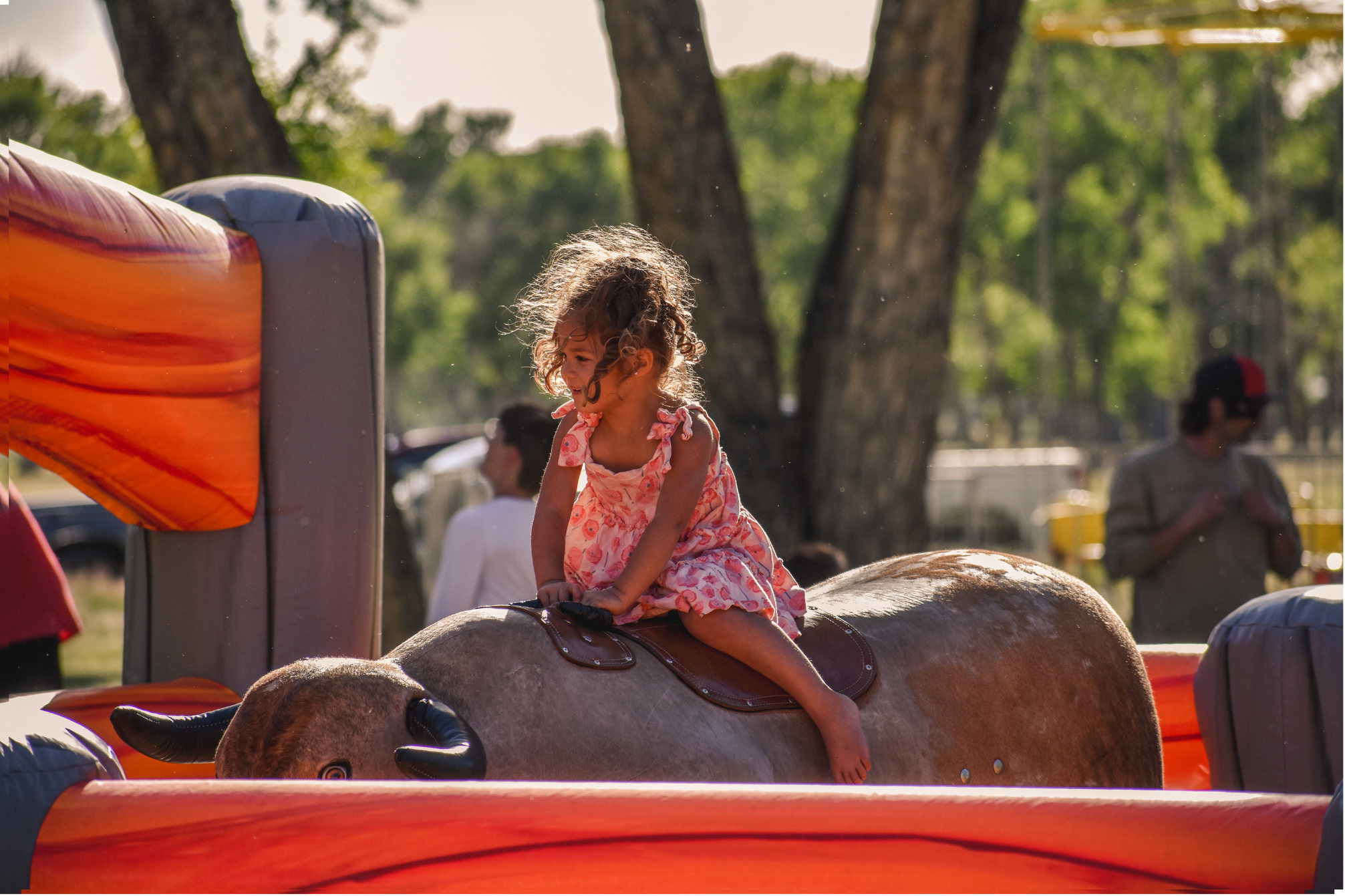 Bingham Party Rentals LLC - bounce house rentals and slides for parties ...