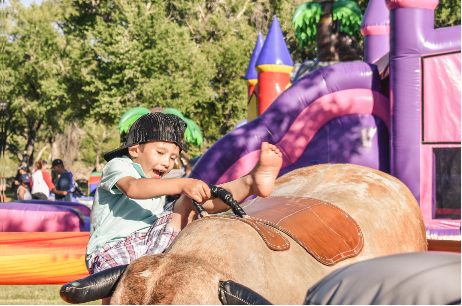 Bingham Party Rentals LLC - bounce house rentals and slides for parties ...