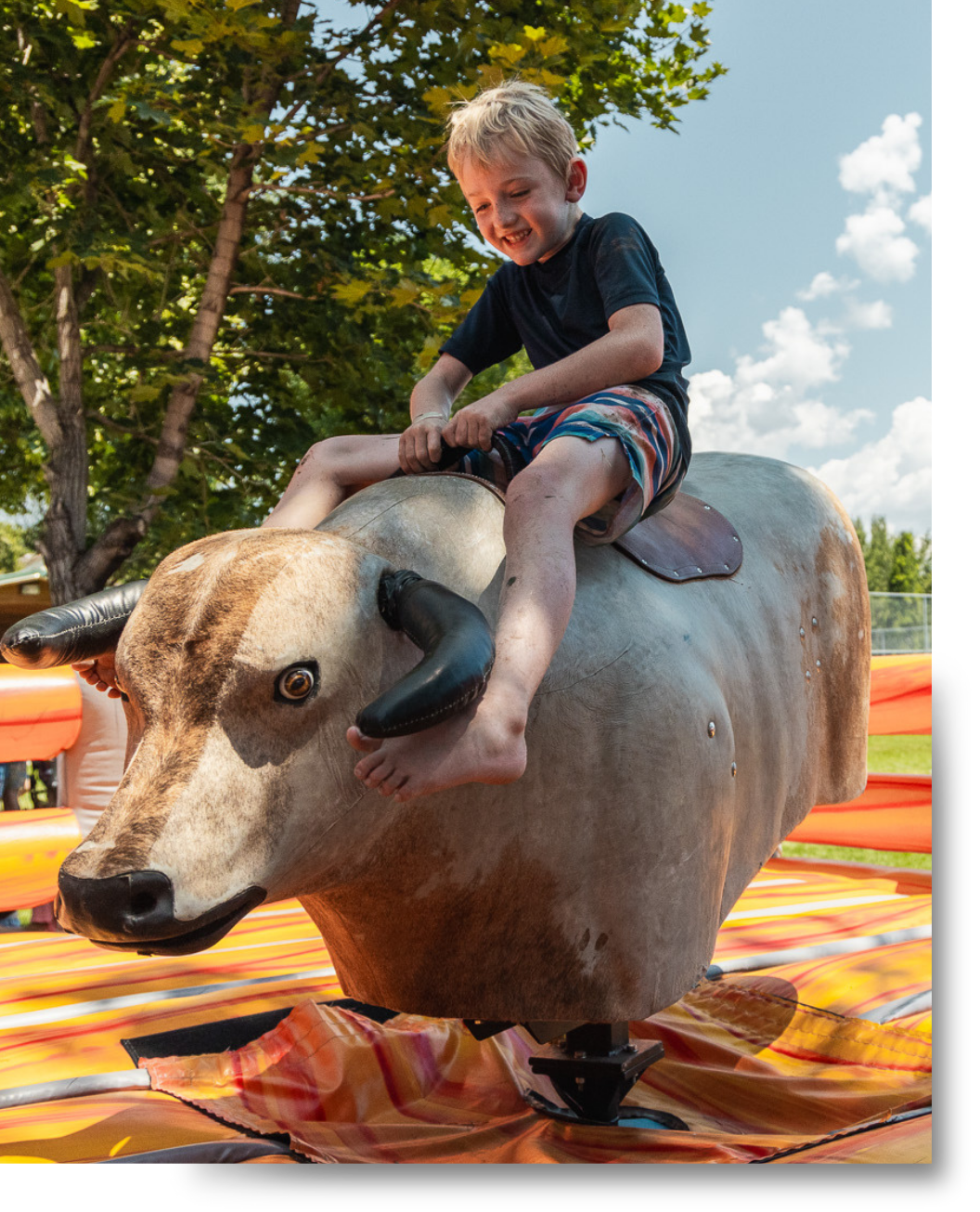 mechanical bull