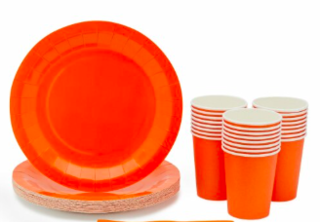 Cups and Plates (set of 10)