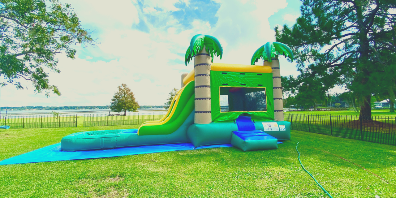 5 in 1 Tropical Combo Waterslide