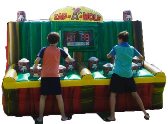 Zap-A-Mole Interactive Game