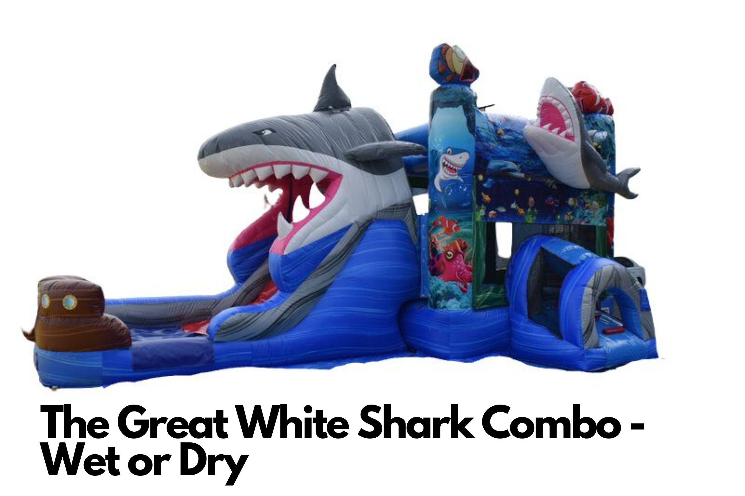 Great White Shark Wet Dry combo bounce house water slide