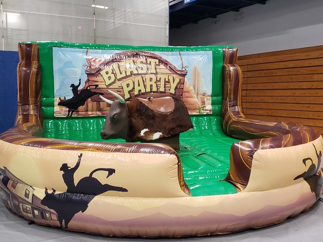 Inflatable bull store