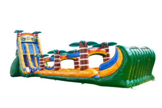 Tiki Plunge Water Slide
