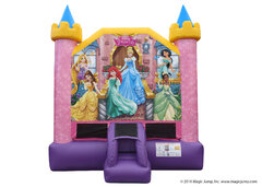 Disney princess castle