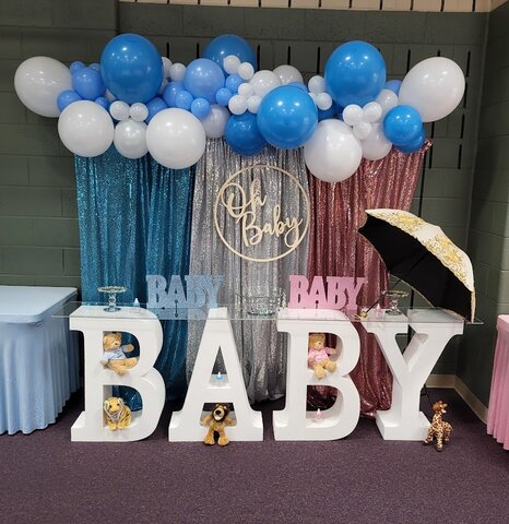 Baby Shower Backdrop #1