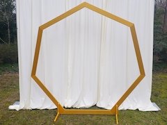 Gold Hexagon Backdrop