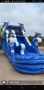 18ft dolphin oasis waterslide