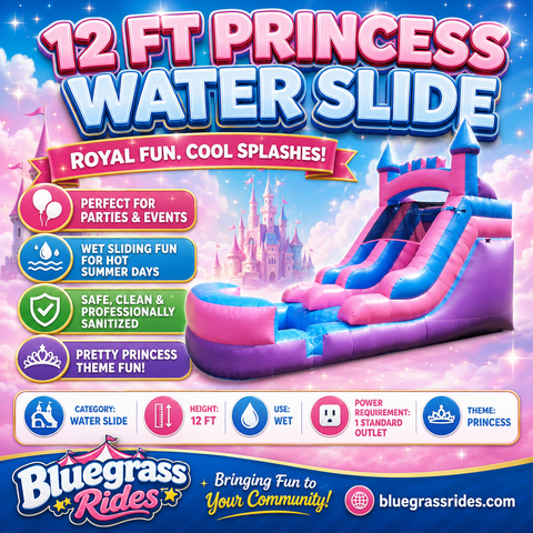 12 Ft Princess Waterslide