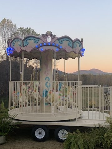 Mini Carousel