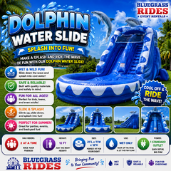 Dolphin Water Slide